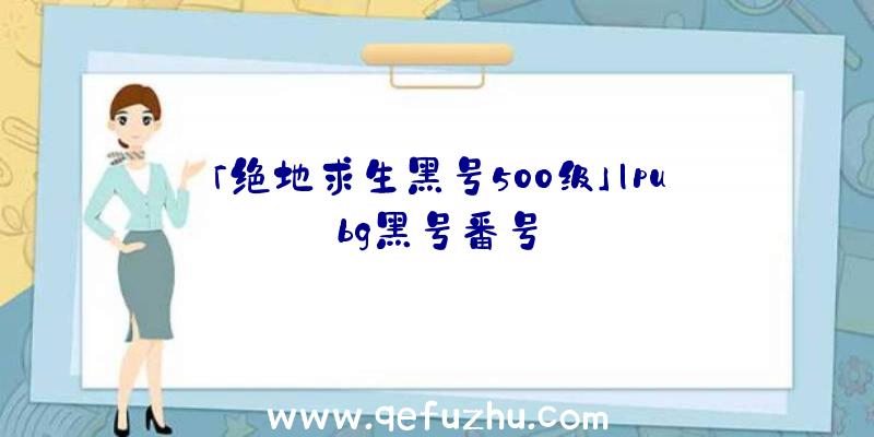 「绝地求生黑号500级」|pubg黑号番号